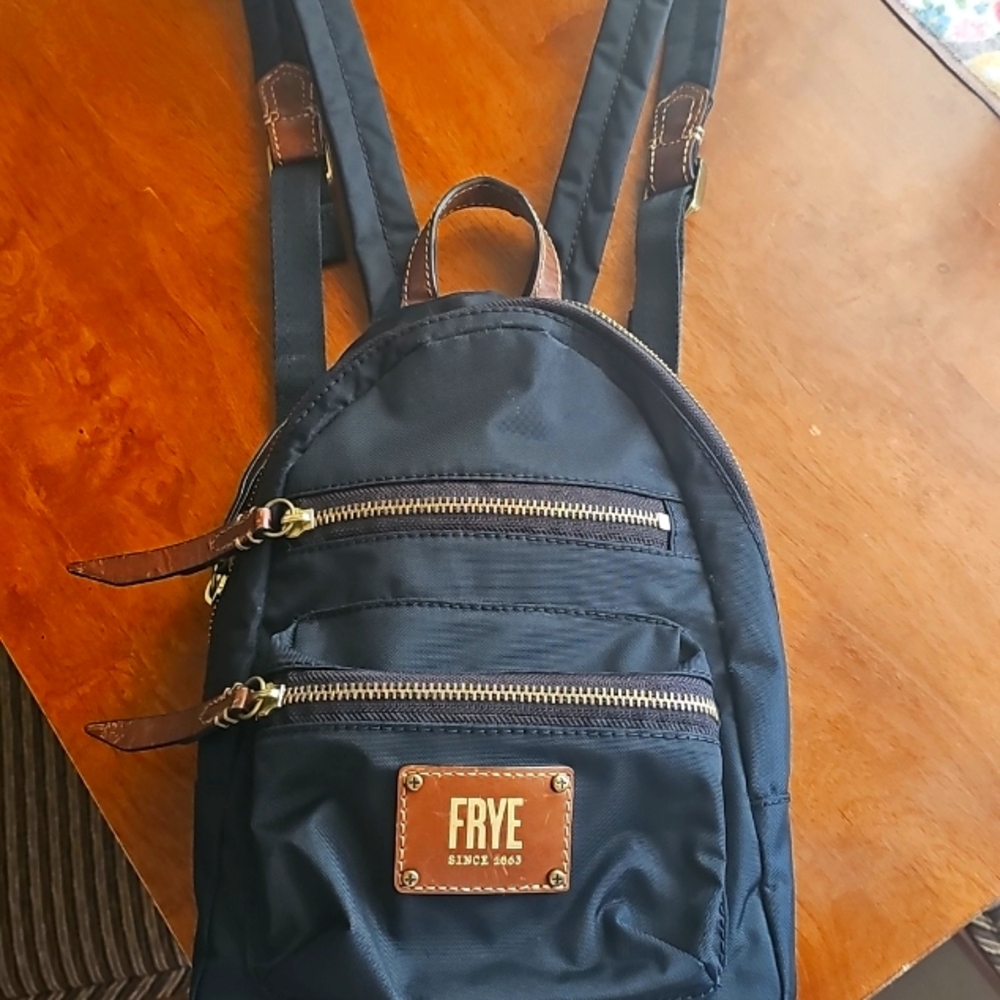Frye Nylon Backpack with Multiple Pocket